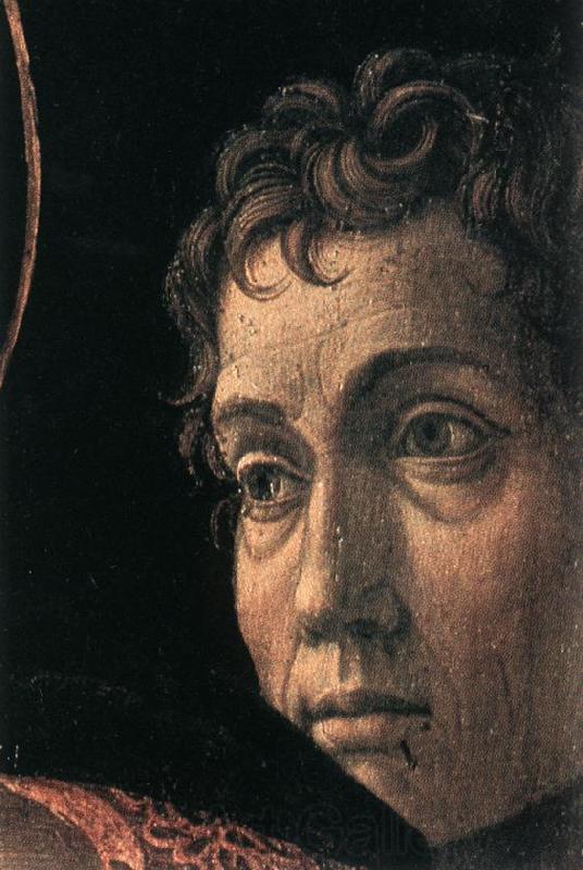 MANTEGNA, Andrea The Madonna of the Cherubim sg Spain oil painting art